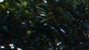 Los cables submarino de fibra óptica son los responsables de que los países puedan conectarse a Internet