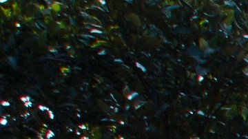 Los cables submarino de fibra óptica son los responsables de que los países puedan conectarse a Internet