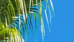 California abre el 2025 con nuevas leyes entre sus ciudadanos.