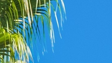 California abre el 2025 con nuevas leyes entre sus ciudadanos.