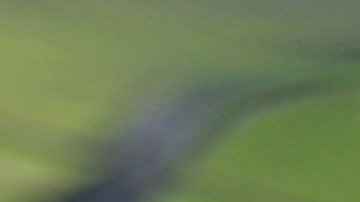 Camera de auto en oferta de Walmart