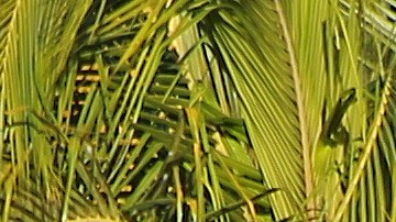 Mujer e hijo de 10 años mueren en ataque armado en Cancún, que vive crisis de seguridad