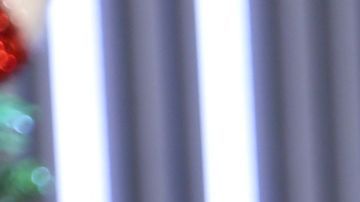 Carolina Sandoval pleito Nick Hernández Navidad