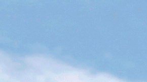 La persona detenida no rompió la valla y no representó peligro para la seguridad de la Casa Blanca y de sus ocupantes.