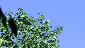 Casa prefabicadra lujosa