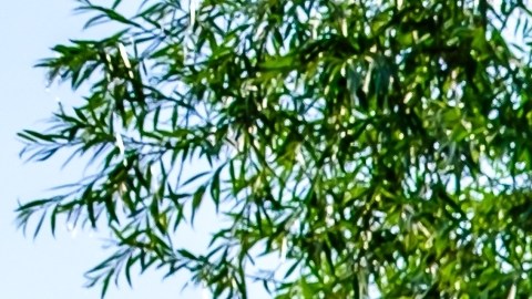 Casa prefabricada de Amazon