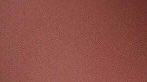 Científicos revelan el daño que hace la cerveza en los riñones.