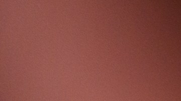 Científicos revelan el daño que hace la cerveza en los riñones.