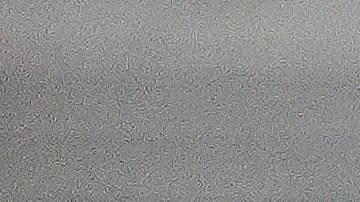 Protestor Herman Armando displays a Pro Trump sign during his public comment time, as members with immigration advocacy groups demand the City Council enact an ordinance making Los Angeles a sanctuary city in Los Angeles, Tuesday, Nov. 19, 2024. (AP Photo/Damian Dovarganes)