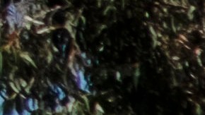 Burned crosses are seen outside the Sylmar Christian Fellowship Church on Thursday, July 6, 2023 in the Sylmar section of Los Angeles. Three wooden crosses outside the small Los Angeles church were found burned early Thursday and authorities say the fire is being investigated as a possible hate crime. (AP Photo/Richard Vogel)