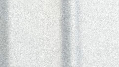 El presidente de la Cámara, Mike Johnson, recibió a Vivek Ramaswamy y Elon Musk en el Congreso.