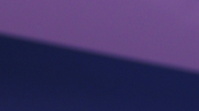 Daddy Yankee estuvo casado por 20 años