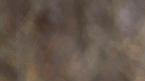 El agente especial de Investigaciones de Seguridad Nacional, David Cole, fue arrestado en Salt Lake el viernes