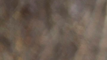 El agente especial de Investigaciones de Seguridad Nacional, David Cole, fue arrestado en Salt Lake el viernes