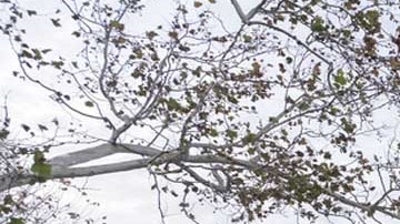 Departamento de Estado estadounidense