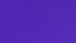 Diego Boneta Renata Notni