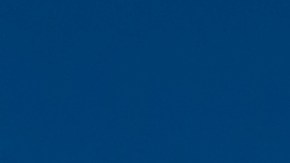 Los 5 productos favoritos de Dollar Tree para los amantes del ahorro