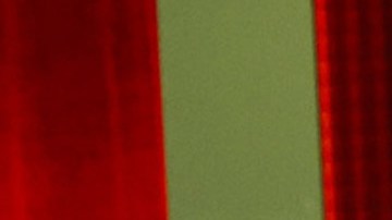 Donald Trump, presidente electo