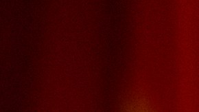 "Un gran día para Estados Unidos": Trump elogia la renuncia de Chris Wray como director del FBI