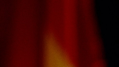 "Un gran día para Estados Unidos": Trump elogia la renuncia de Chris Wray como director del FBI