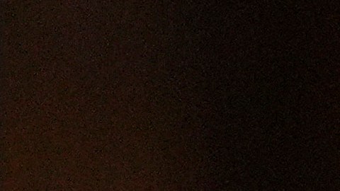 Trump elige a Stephen Miran como principal asesor económico