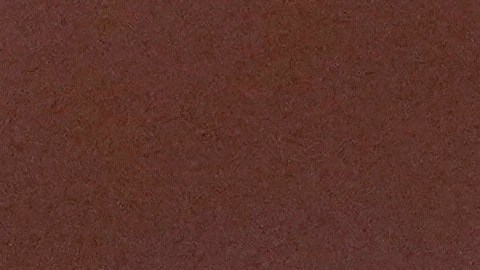 Aplazan hasta septiembre de 2025 el juicio contra el acusado de intentar asesinar a Trump