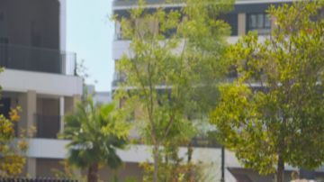 El Toyota Yaris 2025 sorprenderá a sus usuarios