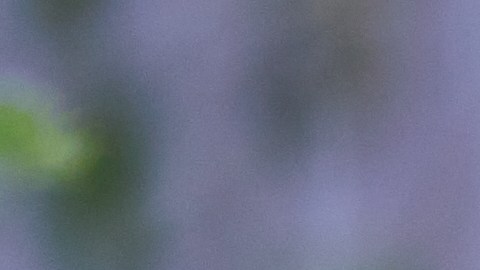 El herbicida glifosato puede dañar permanentemente el cerebro