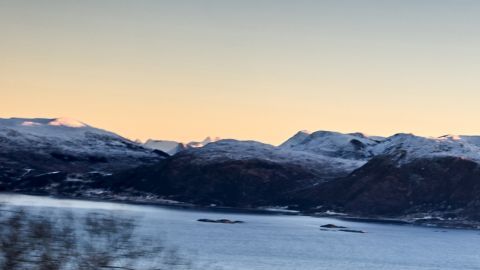 El triunfo del BMW Serie 5 Touring en el mundo premium