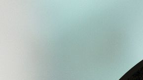 Debbie Nelson Mamá Eminem