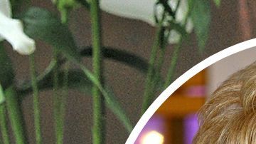 Enrique Guzmán Silvia Pinal