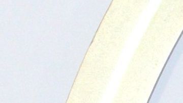 Galilea Montijo ex esposo