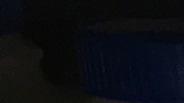 Gripe aviar EE.UU. comenzará a realizar pruebas ampliadas al suministro de leche