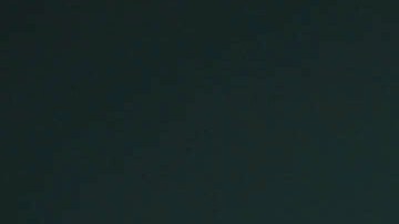 Richard Shotwell/Invision