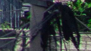 La cifra de muertos en la masacre ocurrida en Haití ha subido a 184 personas, según la ONU.