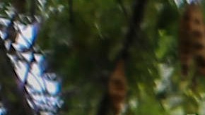 Masacre en Haití: ONU revela que más de 200 personas fueron por banda criminal