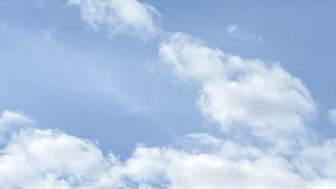 Arrancan nuevas conversaciones sobre inmigración en el Congreso.