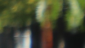 Miles de inmigrantes marchan en el centro de LA.