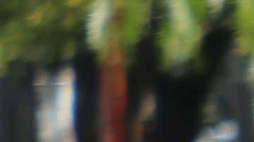 Miles de inmigrantes marchan en el centro de LA.