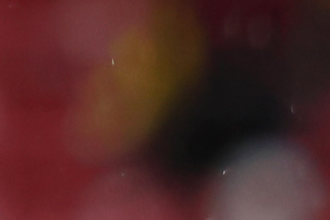 Zapopan, Jalisco, 13 de febrero de 2024. , durante el partido de vuelta de la primera ronda de la Champions Cup de la CONCACAF 2024, entre las Chivas Rayadas del Guadalajara y el Forge FC, celebrado en el estadio Akron. Foto: Imago7/ Juan Carlos Cubeyro.