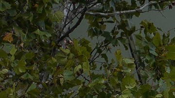 Guadalajara, Jalisco a 31 de Agosto de 2024. Panorámica del estadio, durante el partido correspondiente a la jornada 6 del torneo Apertura 2024 de la Liga BBVA MX, entre las Chivas Rayadas de Guadalajara y los Bravos de FC Juárez, realizado en el estadio Akron. Foto: Imago7/ Cristian Hernández