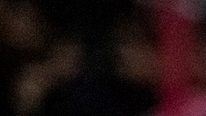 El serbio Veljko Paunovic llegó a los Tigres de la UANL como el sucesor del uruguayo Robert Dante Siboldi.