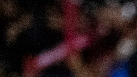 El serbio Veljko Paunovic llegó a los Tigres de la UANL como el sucesor del uruguayo Robert Dante Siboldi.