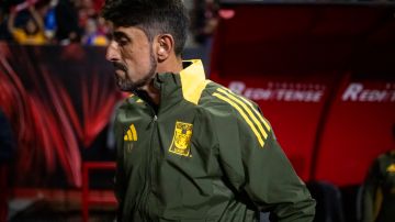 El serbio Veljko Paunovic llegó a los Tigres de la UANL como el sucesor del uruguayo Robert Dante Siboldi.