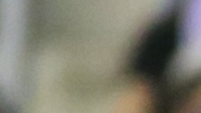 Mazatlán, Sinaloa, 1 de noviembre de 2024. Rodrigo Aguirre y Henry Martín en festejo de gol, durante el partido correspondiente a la jornada 15 del torneo Apertura 2024 de la Liga BBVA MX, entre los Cañoneros del Mazatlán FC y las Águilas del América, celebrado en el estadio El Kraken. Foto: Imago7/ Eduardo Reséndiz