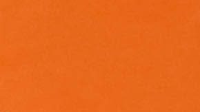 Pachuca, Hidalgo, 2 de noviembre de 2024. Guillermo Almada, director técnico, durante el partido correspondiente a la jornada 15 del torneo Apertura 2024 de la Liga BBVA MX, entre los Tuzos del Pachuca y los Rayos del Necaxa, celebrado en el estadio Hidalgo. Foto: Imago7/