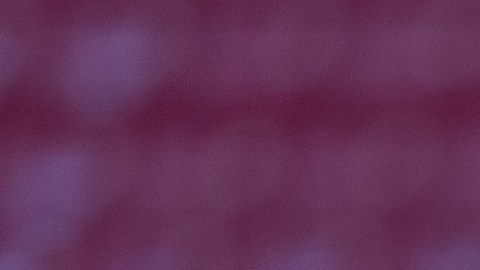 Javier "Chicharito" Hernández durante el partido de la jornada 17 del torneo Apertura 2024 de la Liga MX entre las Chivas del Guadalajara y el Atlético San Luis celebrado en el estadio Akron.