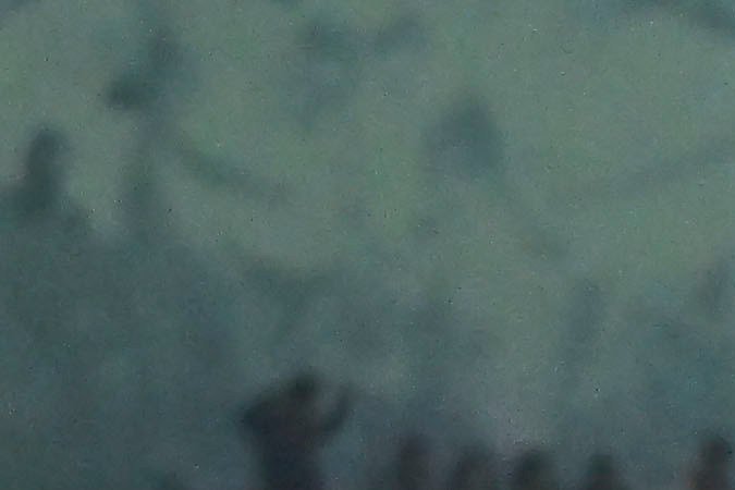 Toluca, Estado de México, 9 de noviembre de 2024. Paulinho en festejo de gol durante el partido de la jornada 17 del torneo Apertura 2024 de la Liga BBVA MX, entre los Diablos Rojos del Toluca y las Águilas del América, celebrado en el estadio Nemesio Diez. Foto: Imago7/ Etzel Espinosa