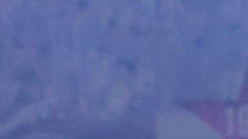 Toluca, Estado de México, 19 de noviembre de 2024. Foto de equipo de la Selección Nacional de México, durante el partido de vuelta de los Cuartos de Final de la Liga de Naciones de la Concacaf 2024-2025, entre la Selección Nacional de México y la Selección de Honduras, celebrado en el estadio Nemesio Diez. Foto: Imago7/ Eloísa Sánchez