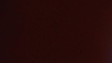 El Vasco cierra con buenos números el año con El Tri.